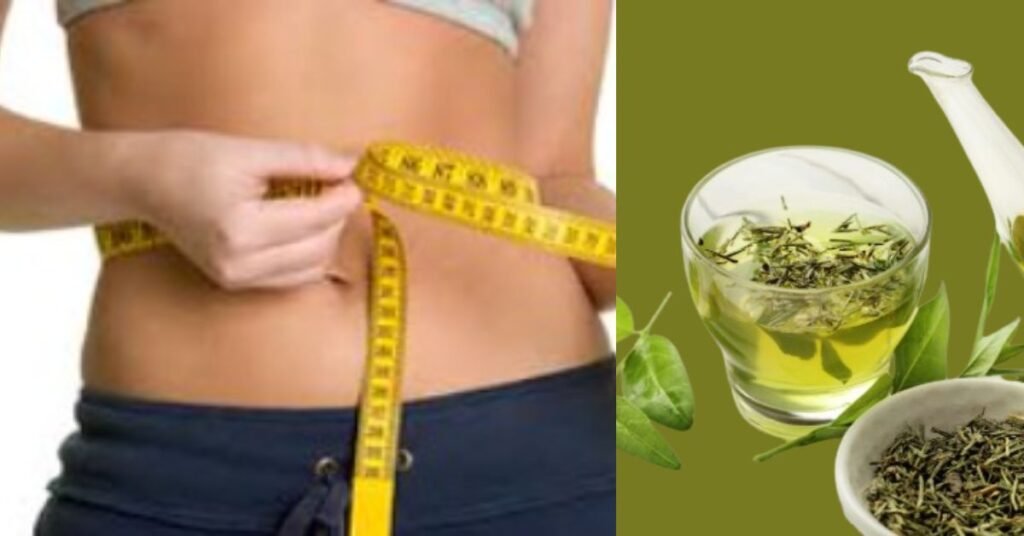 girnar detox desi kahwa green tea benefits in hindi